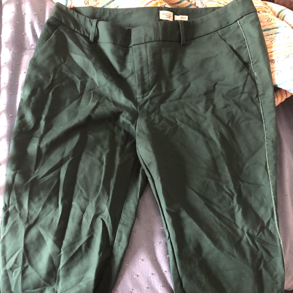 Beautiful pixie pants, forest green